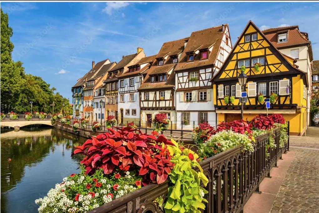 Colmar Centre - Le Schickele Apartment Exterior photo